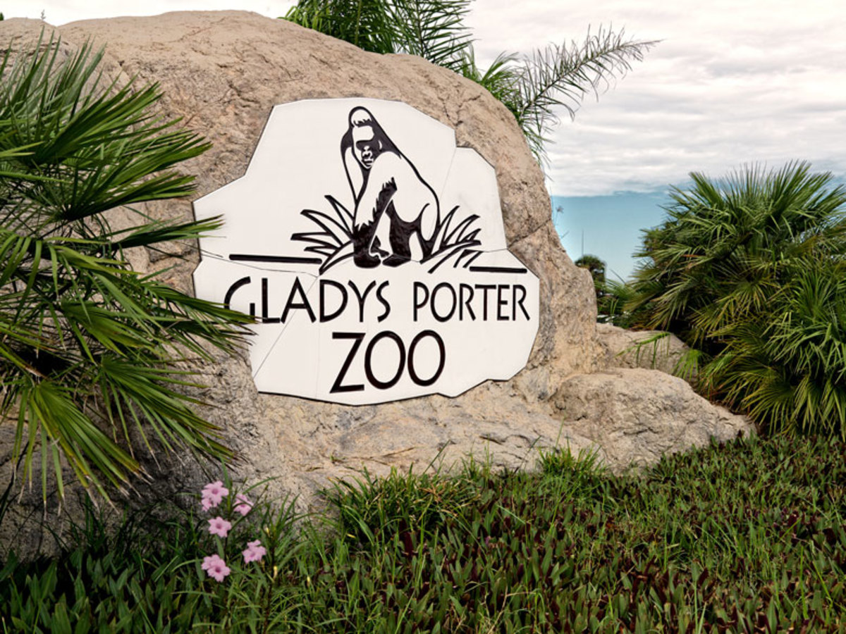 Amazing Gladys Porter Zoo in Brownsville, TX