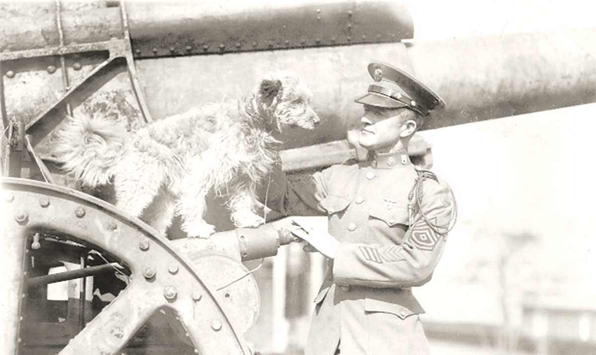 Mixed-Breed Terriers in World War I