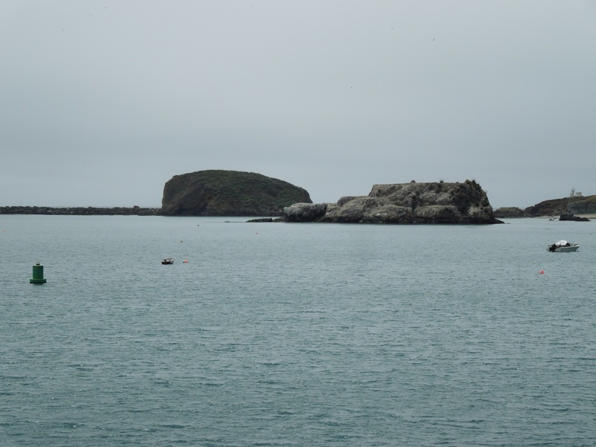 Another view toward the north from Harford Pier at Port San Luis