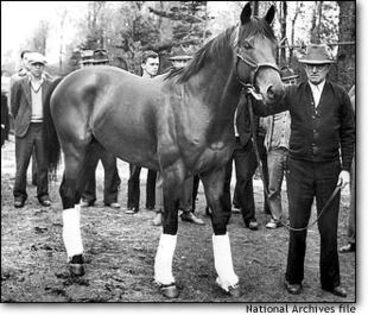 Seabiscuit was a racehorse, an underdog who gave people hope during the Great Depression.