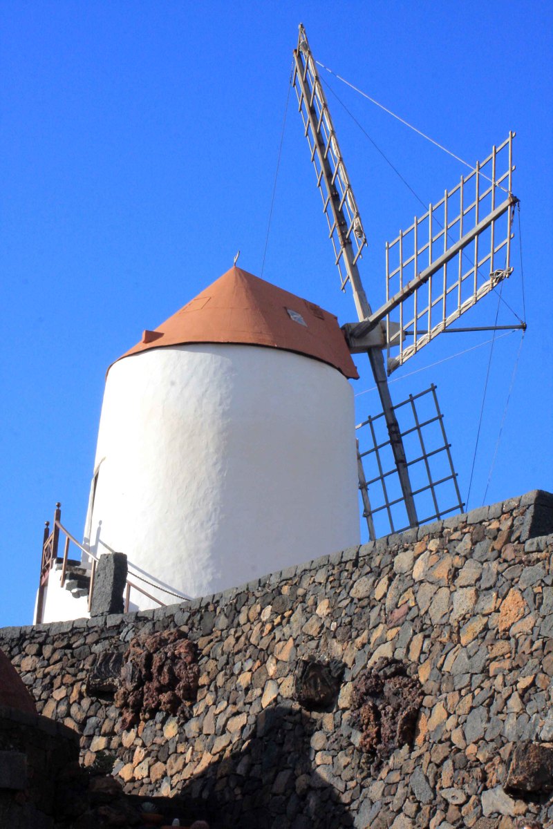 Windmill at Jardin de Cactus