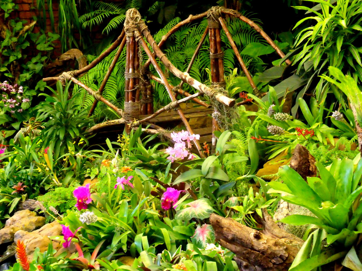Durban Botanical Gardens - The Orchid House (A great place to start your South African holiday)