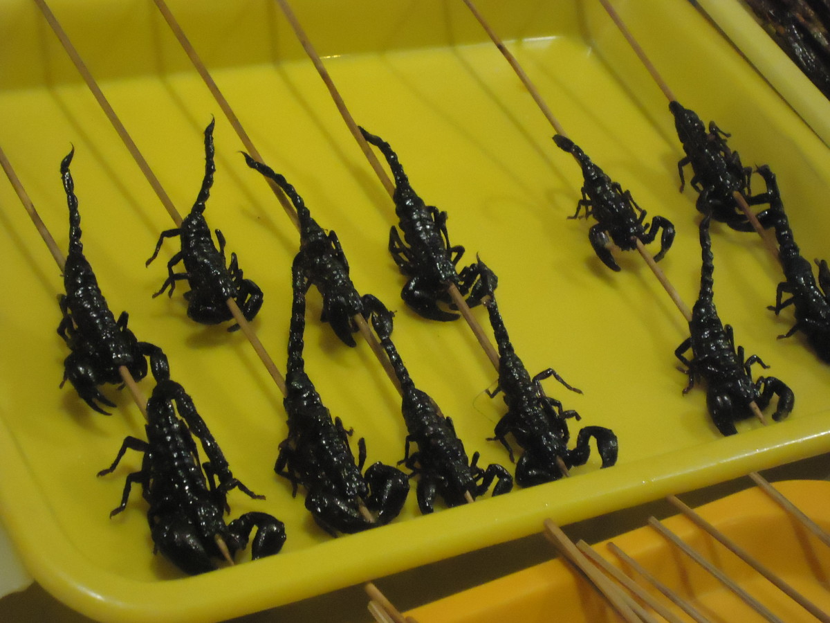 Skewered scorpions in Beijing