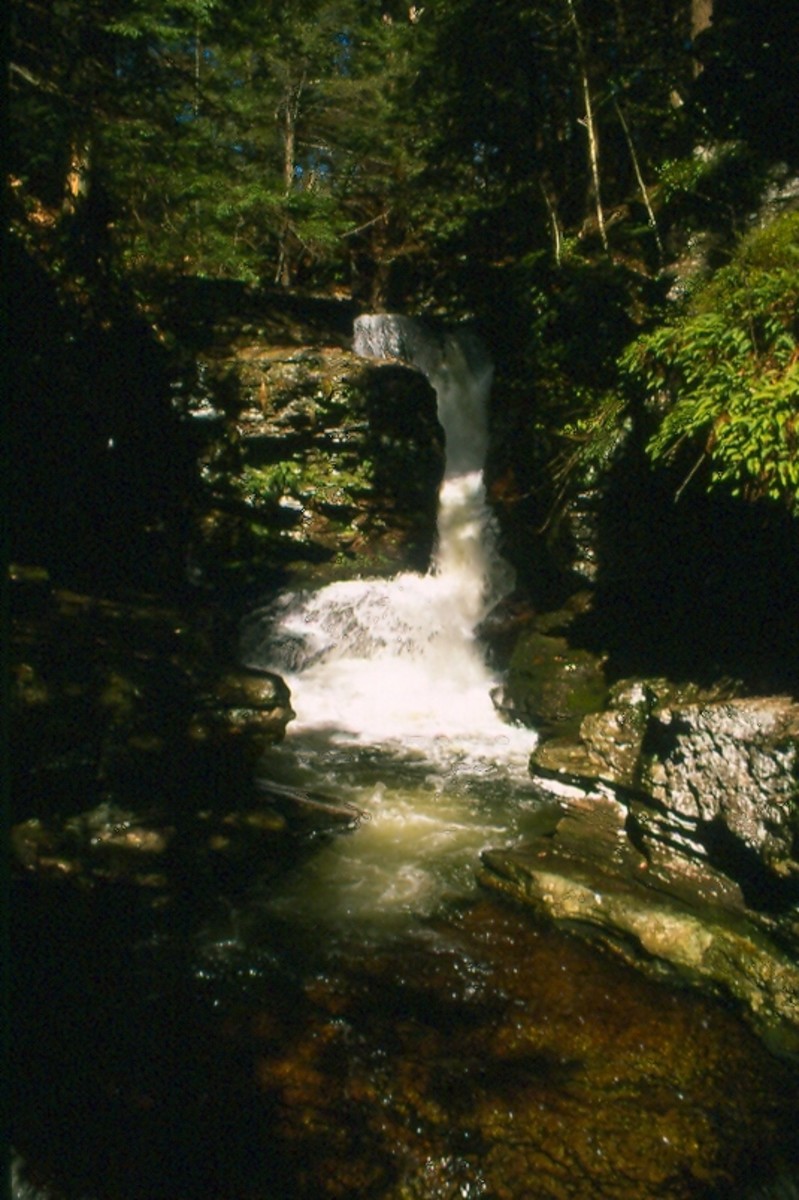 Adams Falls, one of 24 named waterfalls in Ricketts Glen State Park, Pennsylvania.