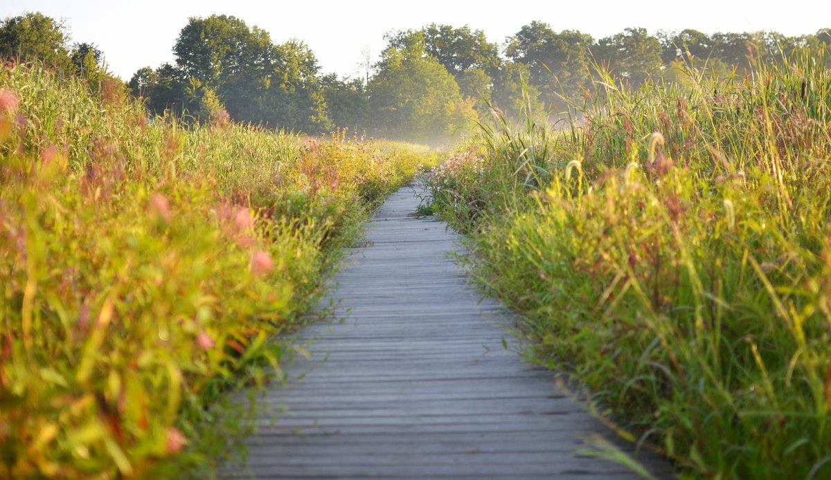 Mentor, Ohio's Attractions and Sustainability HubPages