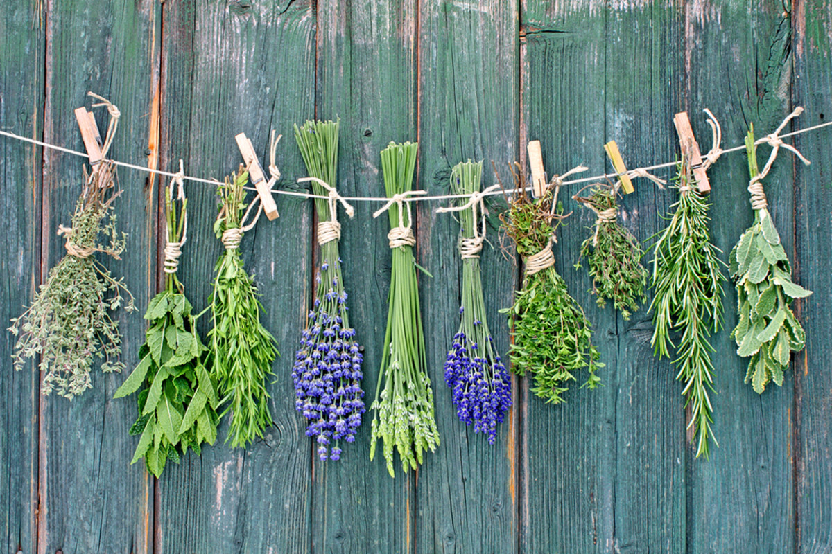 Any place that is dry and well ventilated, and either dark or shaded, is a good spot for drying herbs.