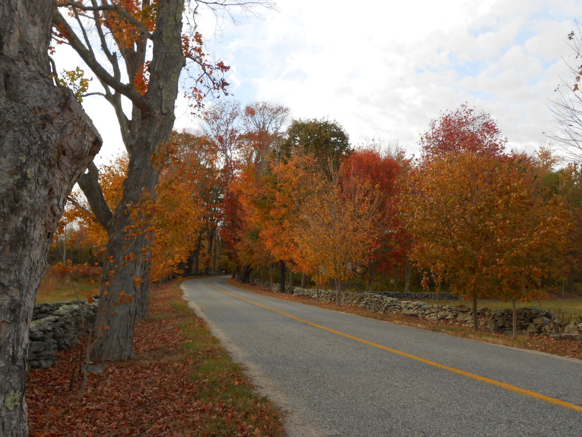 A country road in Fall.