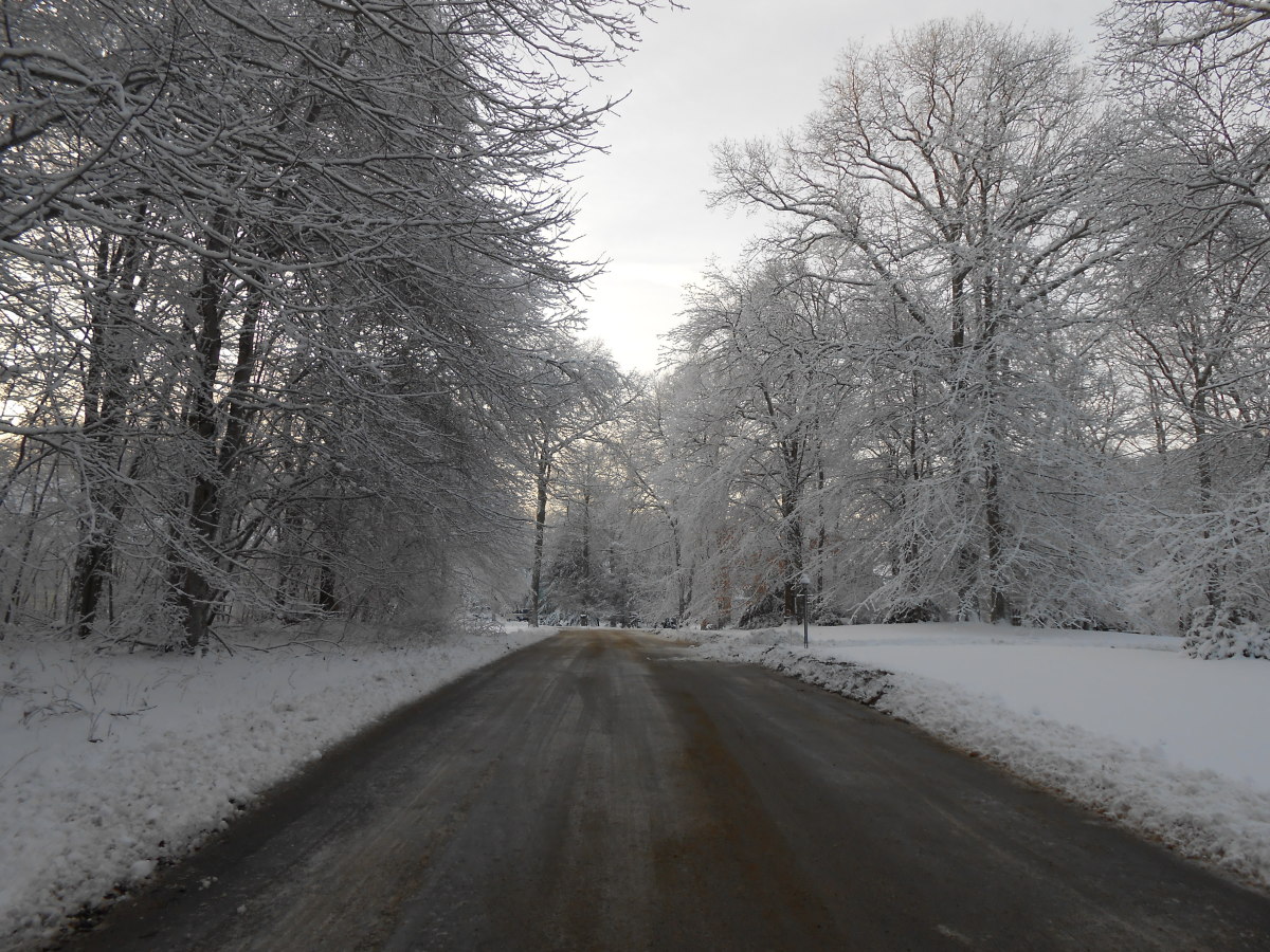 A Connecticut road after a snowstorm.
