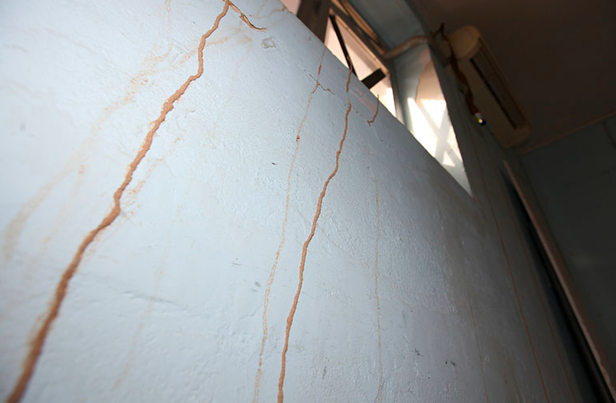 Termite tubes are a sign of an infestation