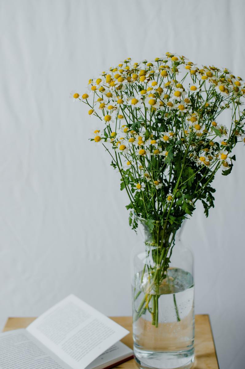 Flowers convey sweetness and represent a liminal connection, the feeling of being stuck.