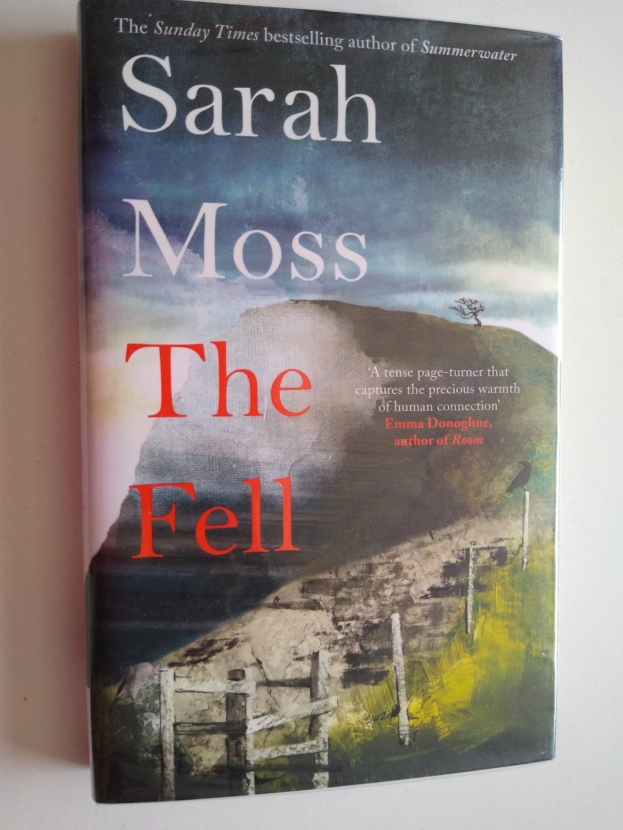 Book Review of 'The Fell' by Sarah Moss