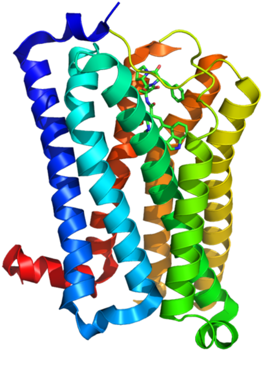 Structure of 5HT-1B receptor