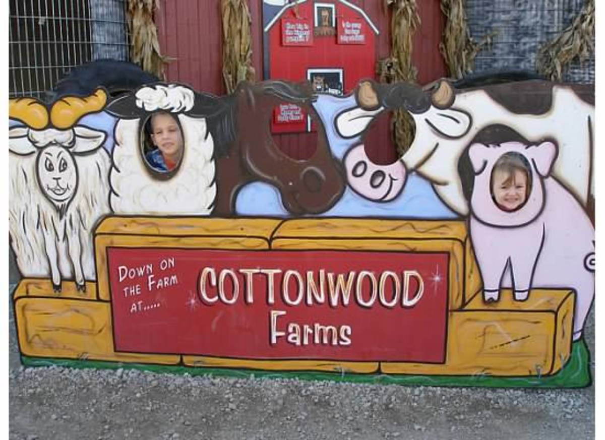 Welcome to Cottonwood Farm photo op
