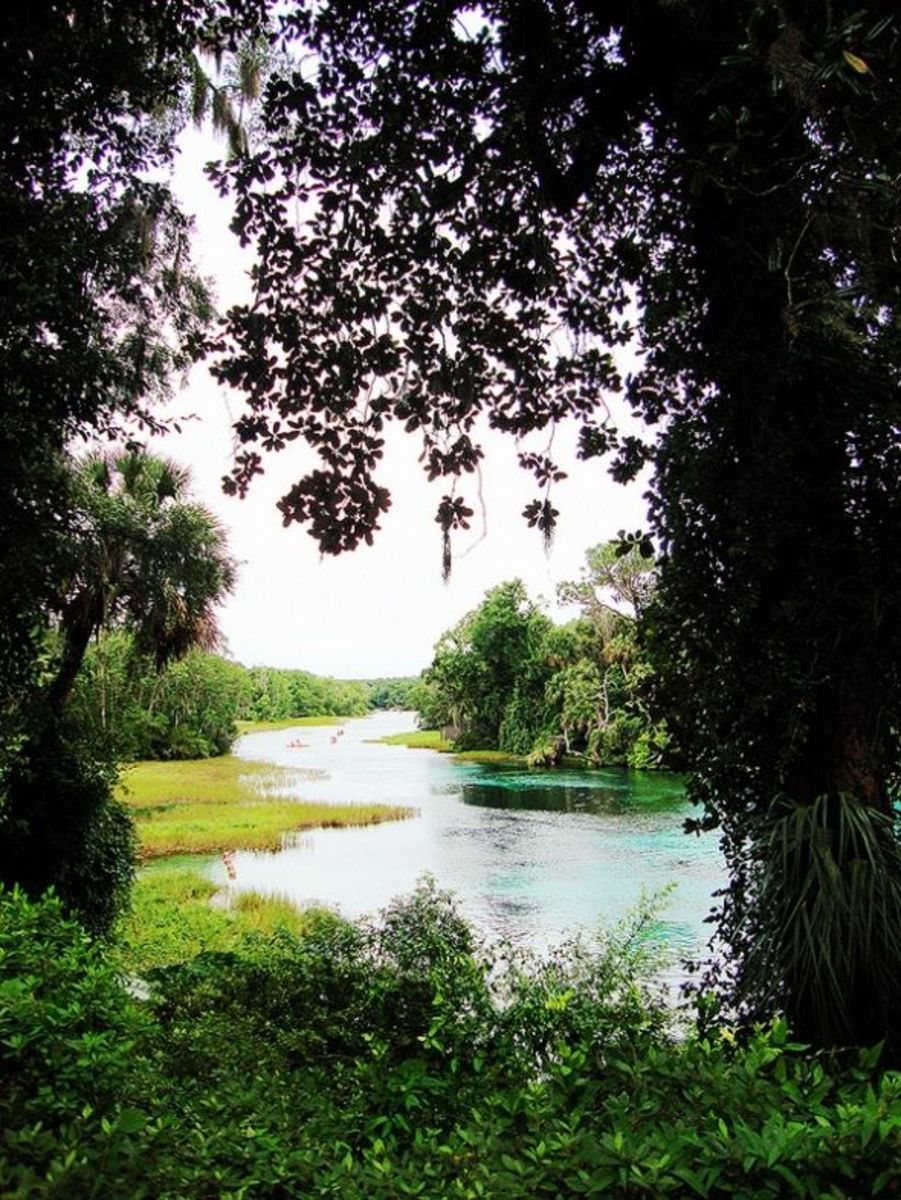 Visit Rainbow Springs State Park in Dunnellon, Florida HubPages