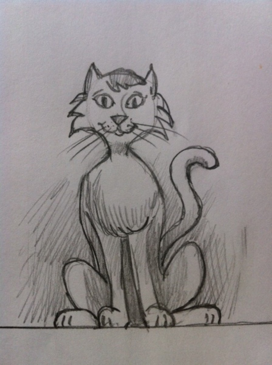 How to Draw Cartoon Cat