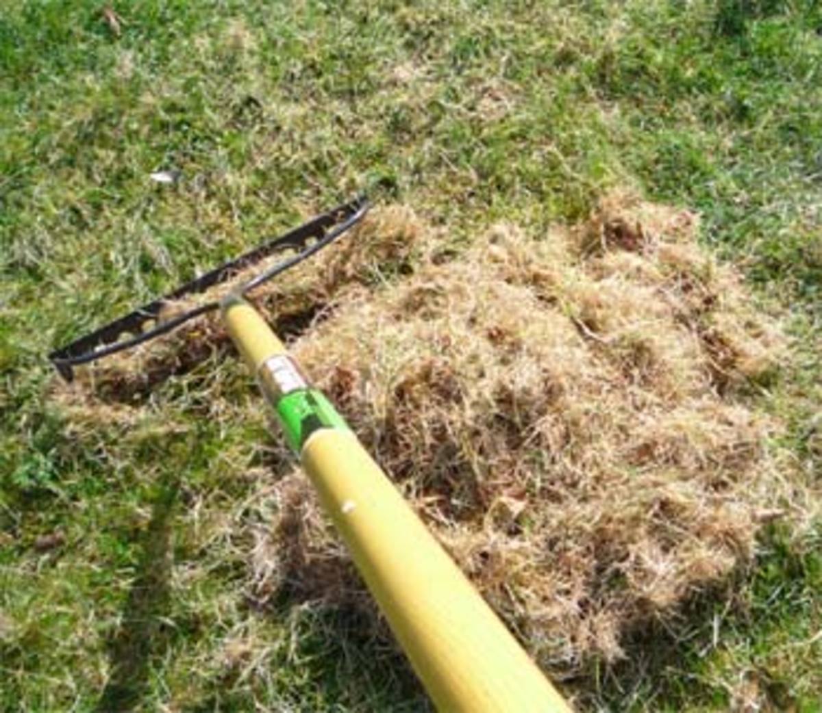 Raking thatch and removing plant debris help lawns to absorb water and nutrients. Aeration encourages the flow of oxygen to grass roots. 