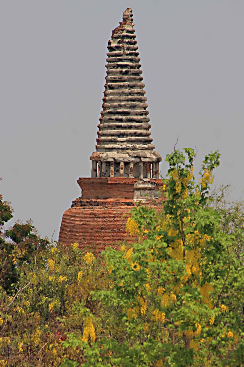 Temple pagoda rising above the trees at the ancient city ruins of Ayutthaya
