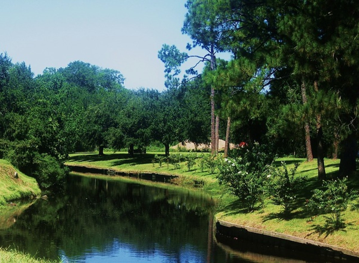 Louisiana green spaces