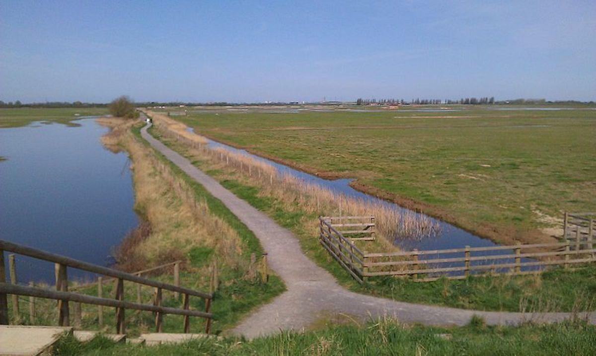 A photograph of Frampton Marsh taken from the embankment. The Long-billed Dowitcher was situated on the saltmarsh to the rear of this view. Source: Andy Mabbett via Wikimedia Commons