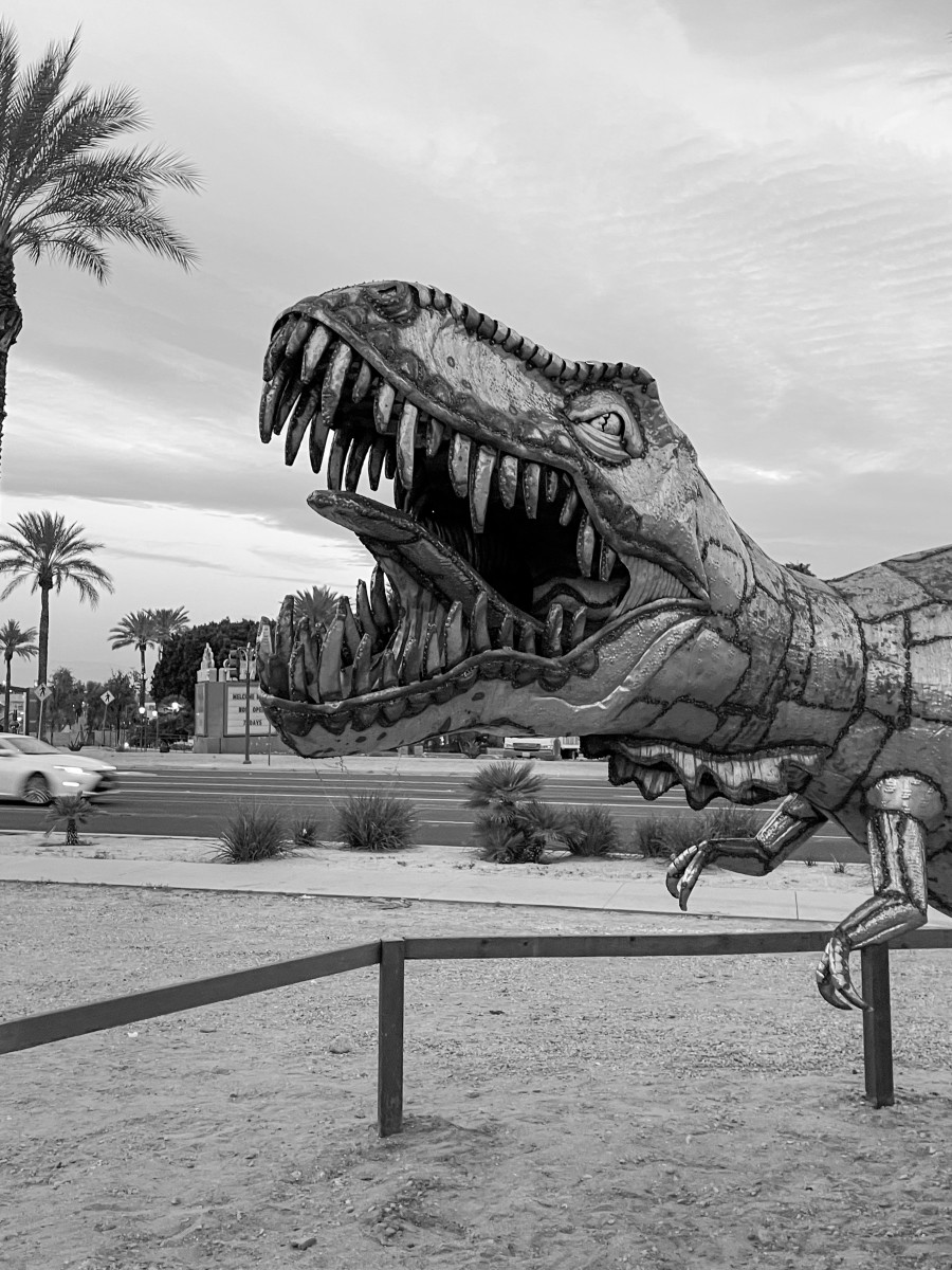photography-dinos-in-the-dawn