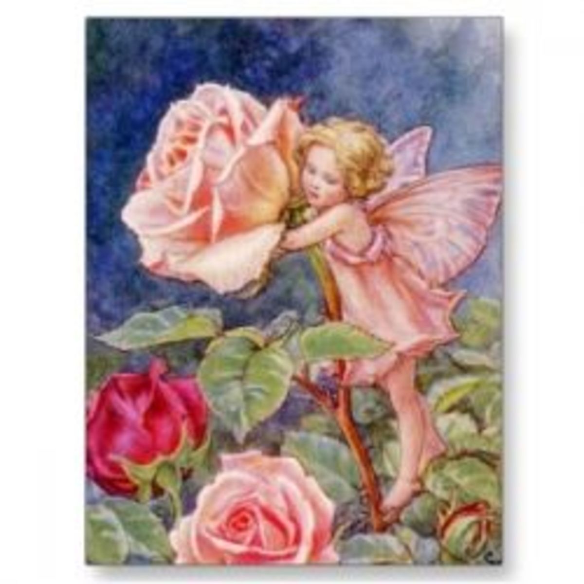 Fairy Gardens: Flowers To Attract Fairies