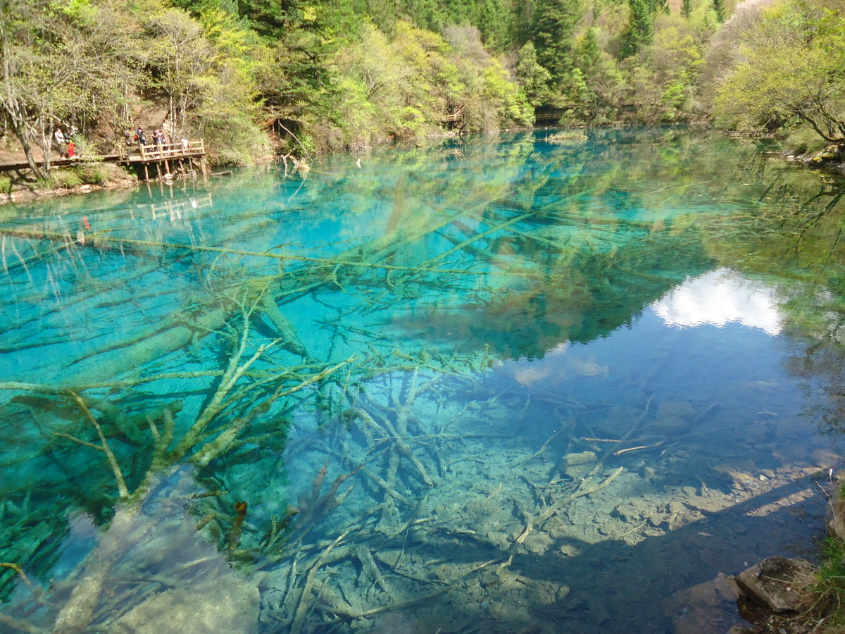 Transparency of the lakes at Jiuzhaigou National Park