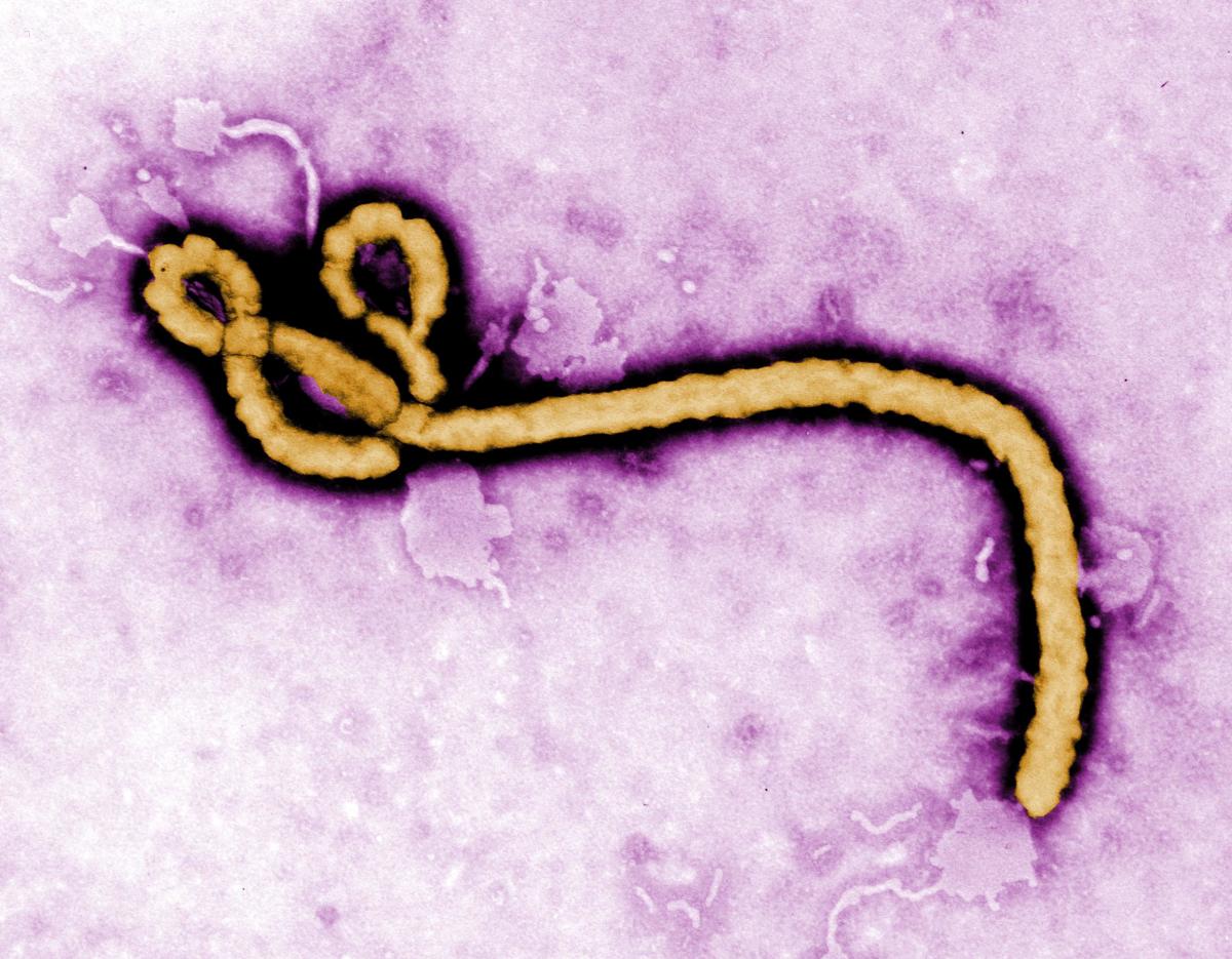 Key Information About Ebola