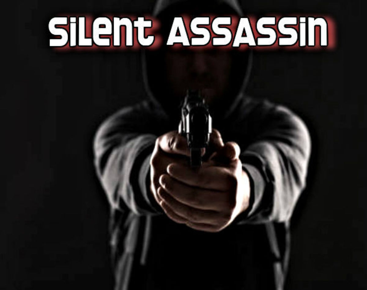 Silent Assassin 4