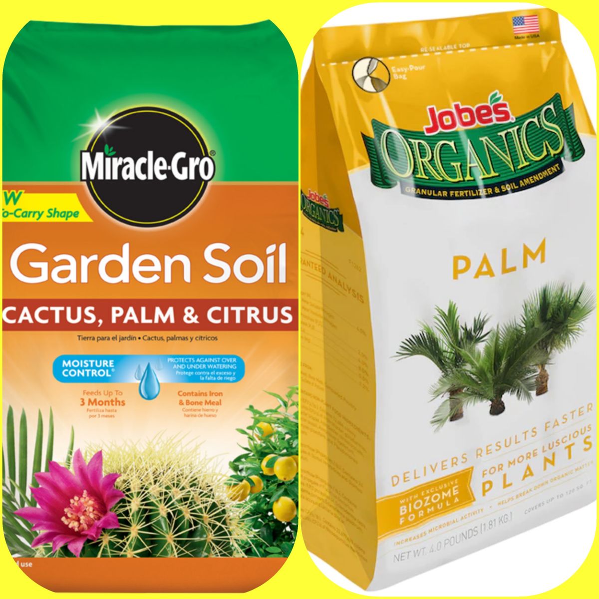 Choosing the proper potting soil is crucial to a healthy Majestic Palm.