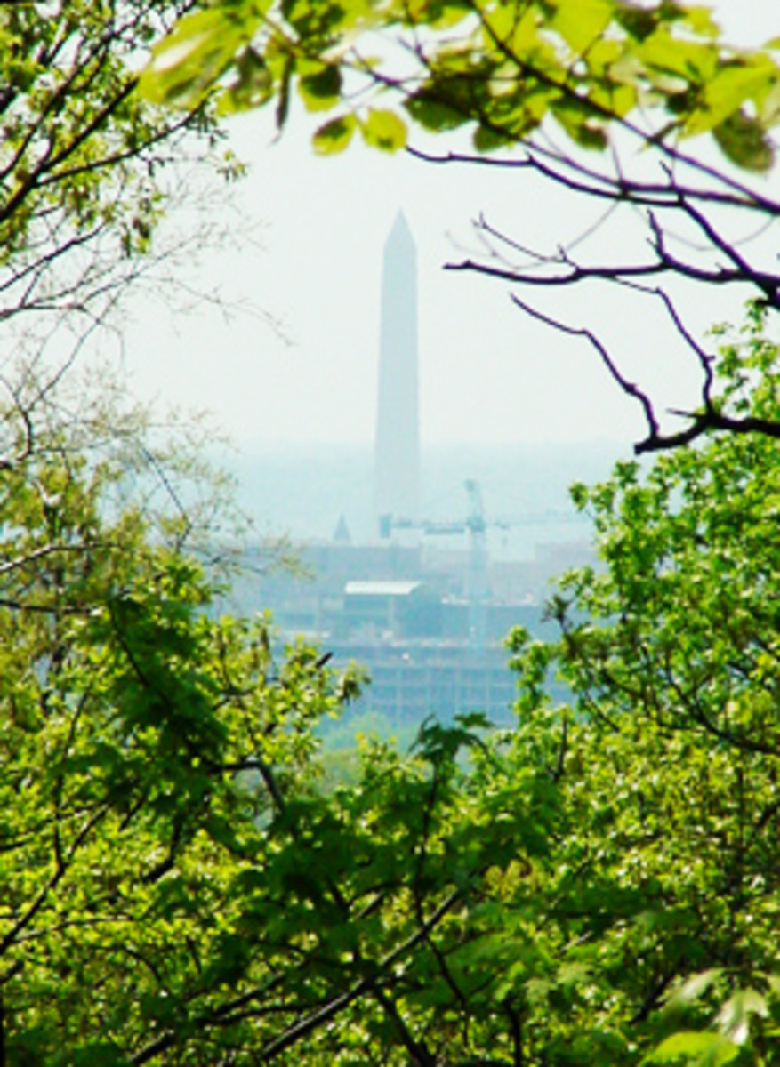 Washington Monument view from the Arboretum in DC