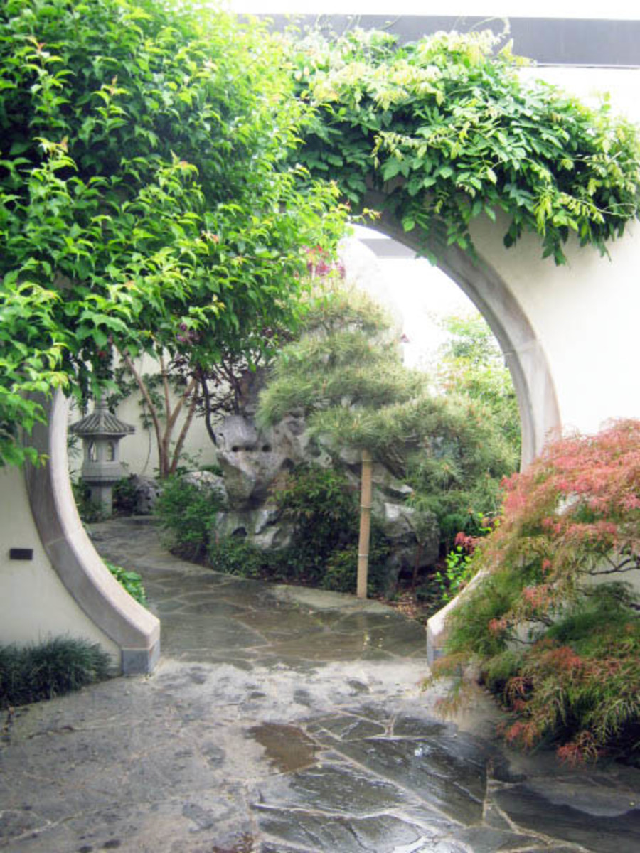 Moon Gate at the National Bonsai and Penjing Museum