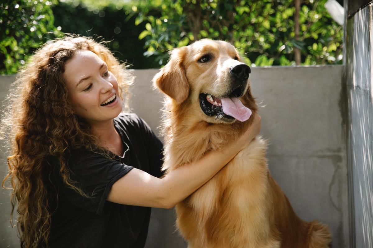 Why Golden Retrievers Are Great Family Dogs