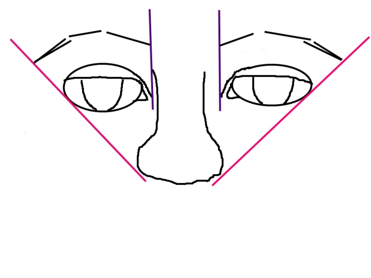 6. Now see the inner edge guideline for eyebrows.