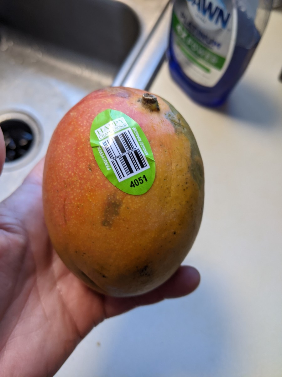 Mango- Growing One from a Seed Seems Sraightforward