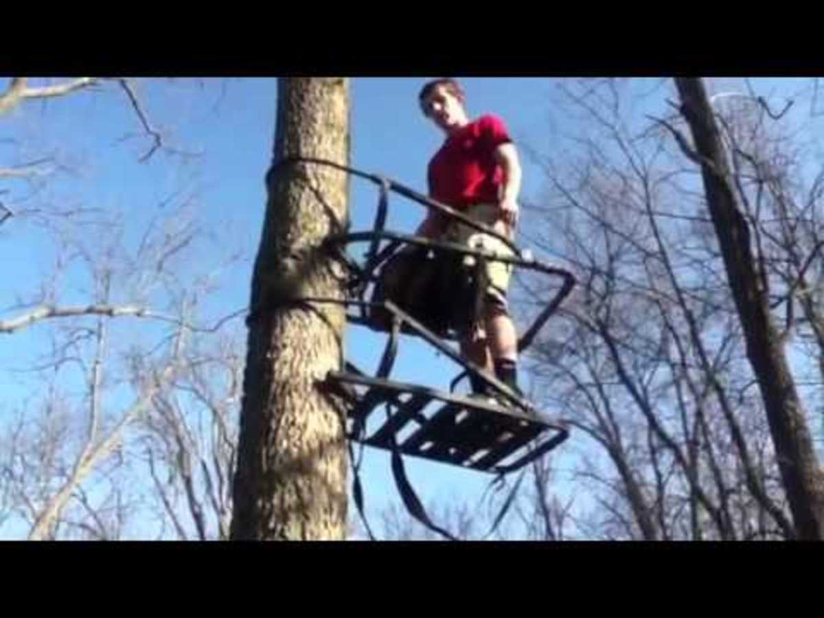 climbing-tree-stand-forguys