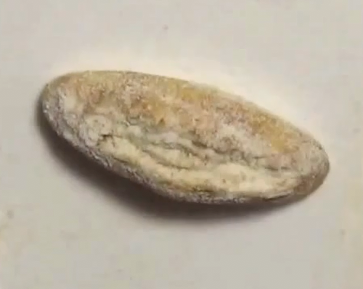 making-a-miniature-bread-using-polymer-clay