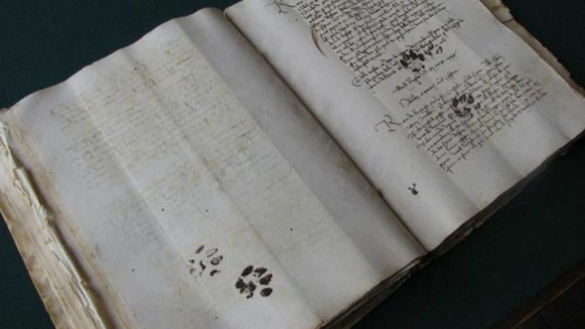 Medievalist Emir O. Filipovic was flipping through fifteenth-century manuscripts at the State Archives in Dubrovnik, Croatia when he came across cat paw prints!