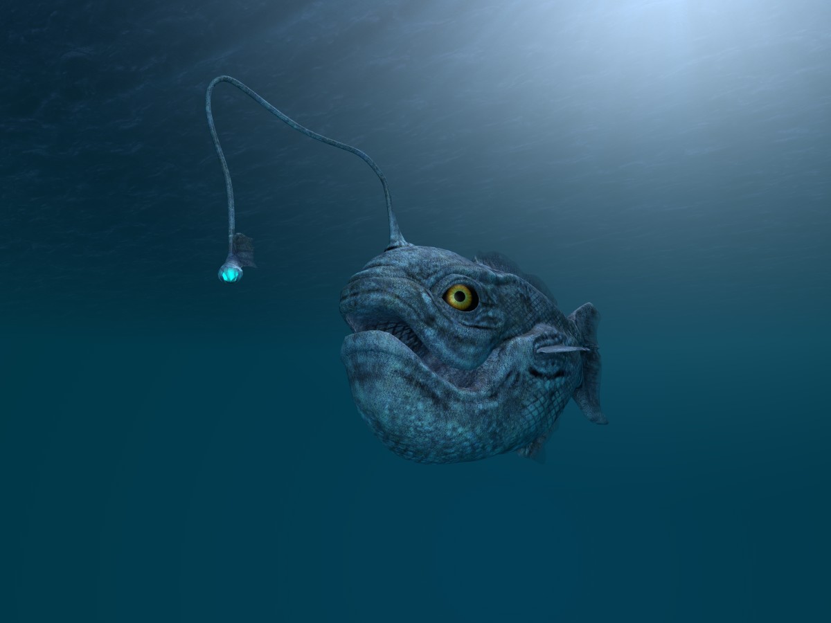 creatures-of-the-deep-ocean