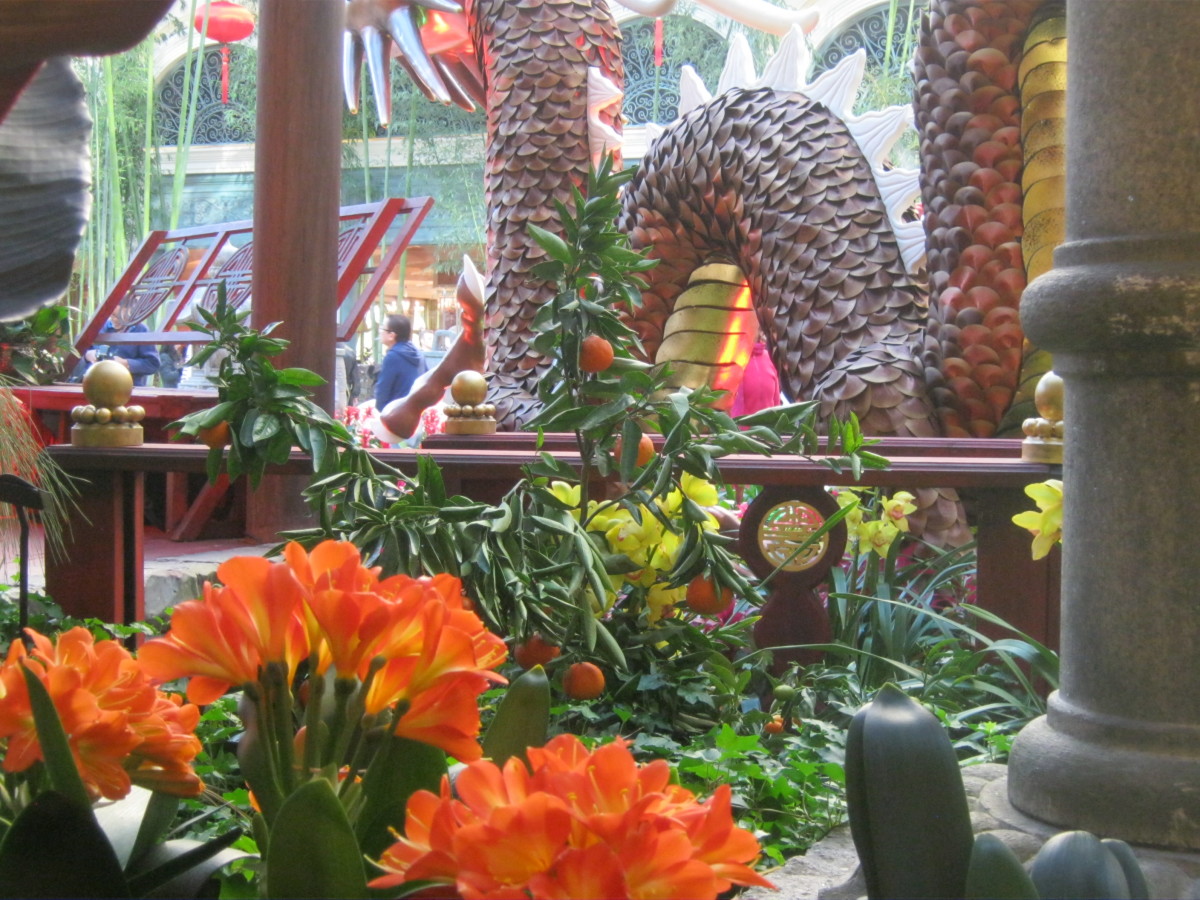 Chinese New Year at Bellagio Conservatory, a feast for the senses!