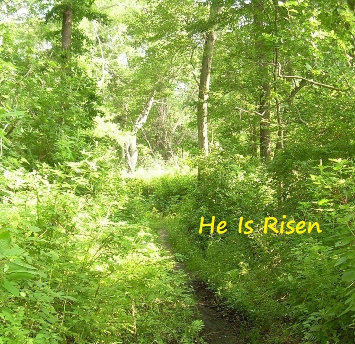 He Is Risen, Jesus The Christ