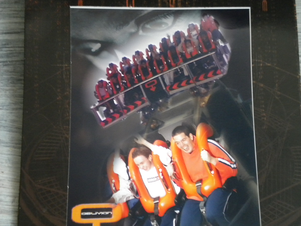 This is me (the guy in the orange shirt) on Oblivion, with my friend Tom sat next to me.