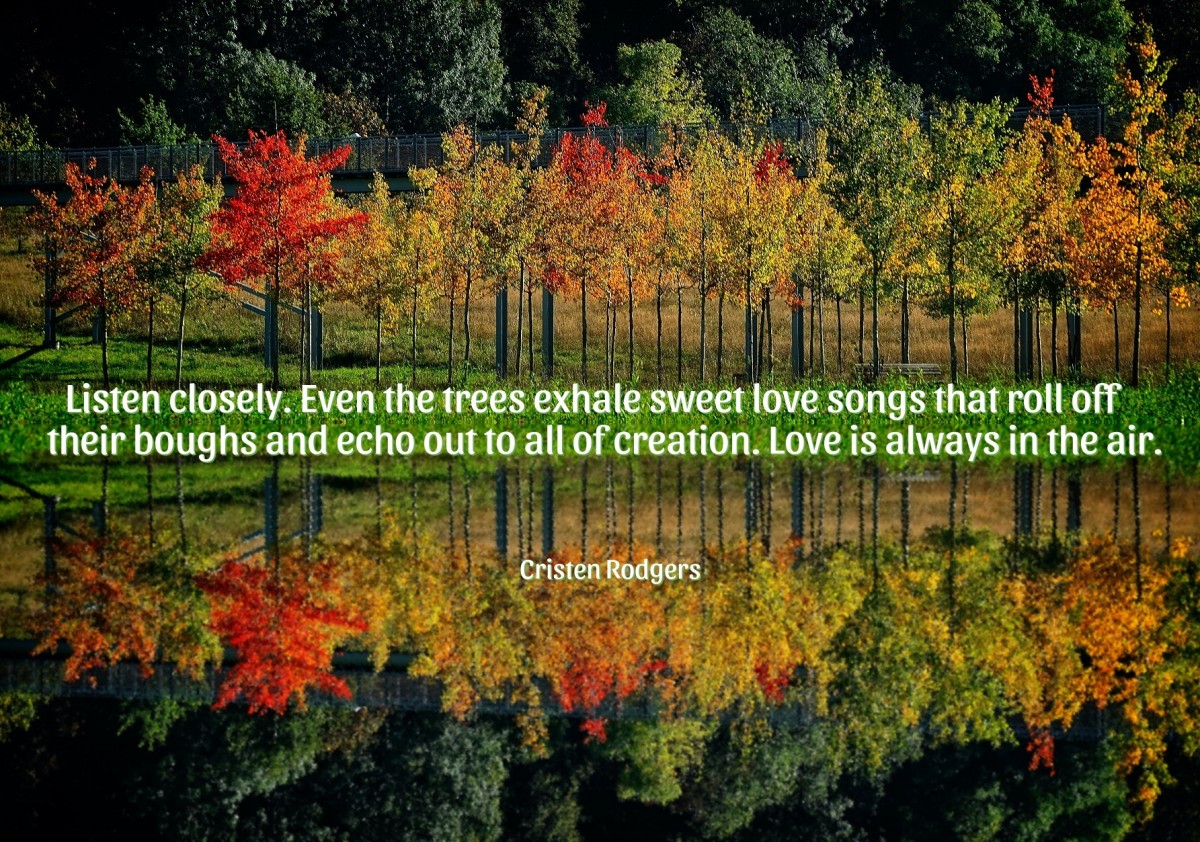 Even the trees exhale sweet love songs ... and echo out to all of creation. 