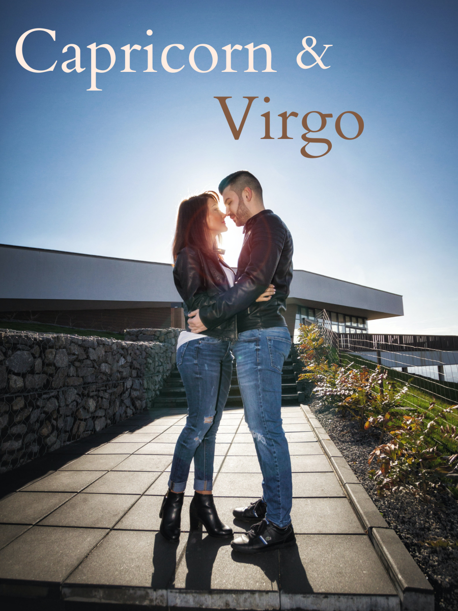 Capricorn and Virgo attract to each other because of their shared love of sensibility.