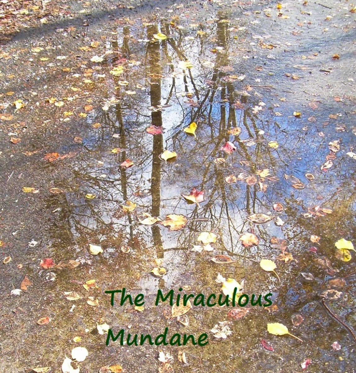 The Miraculous Mundane