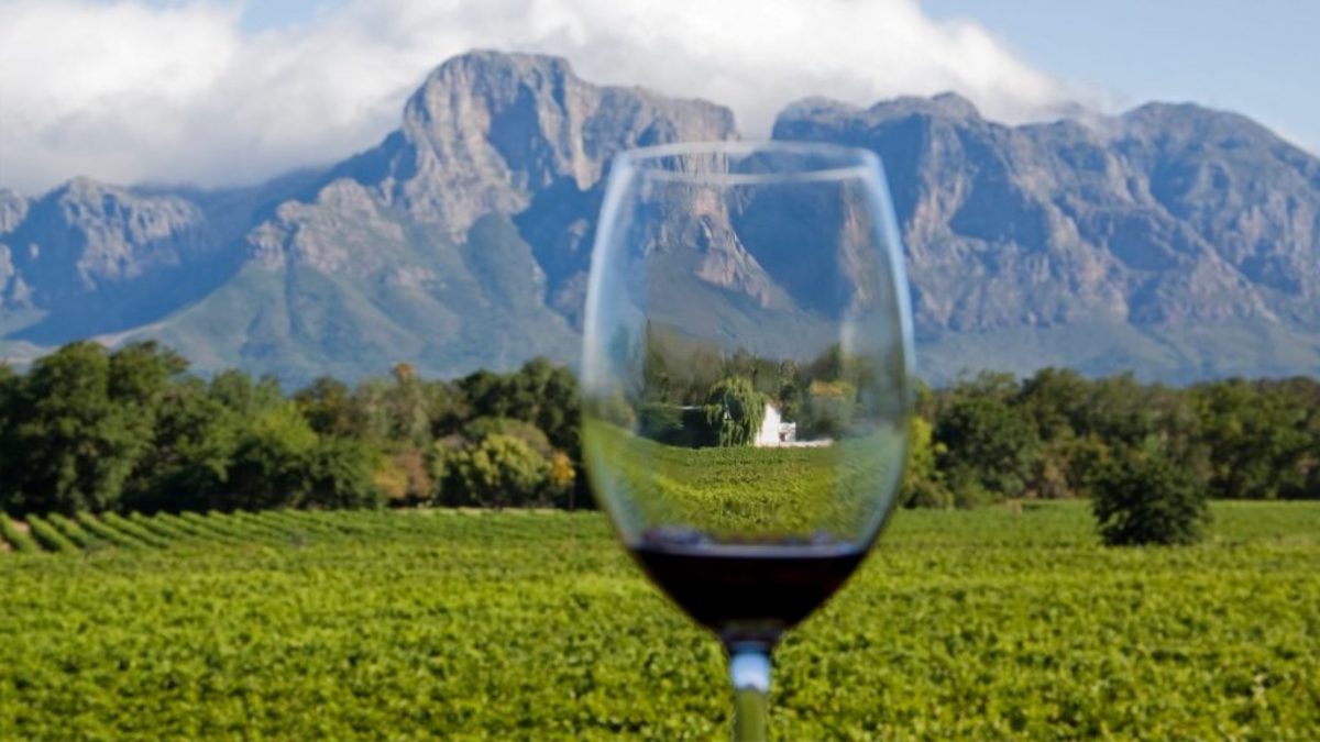 The Winelands of South Africa