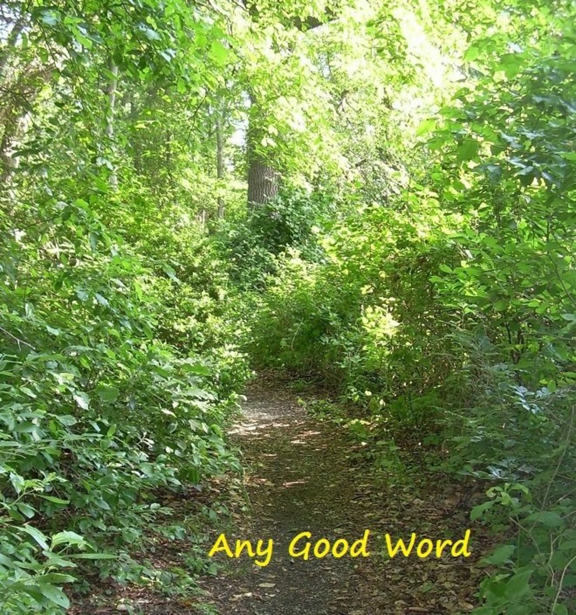 any-good-word-letterpile