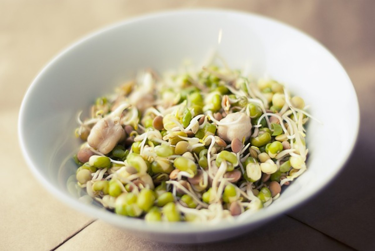 Health Benefits of Soy Bean Sprouts