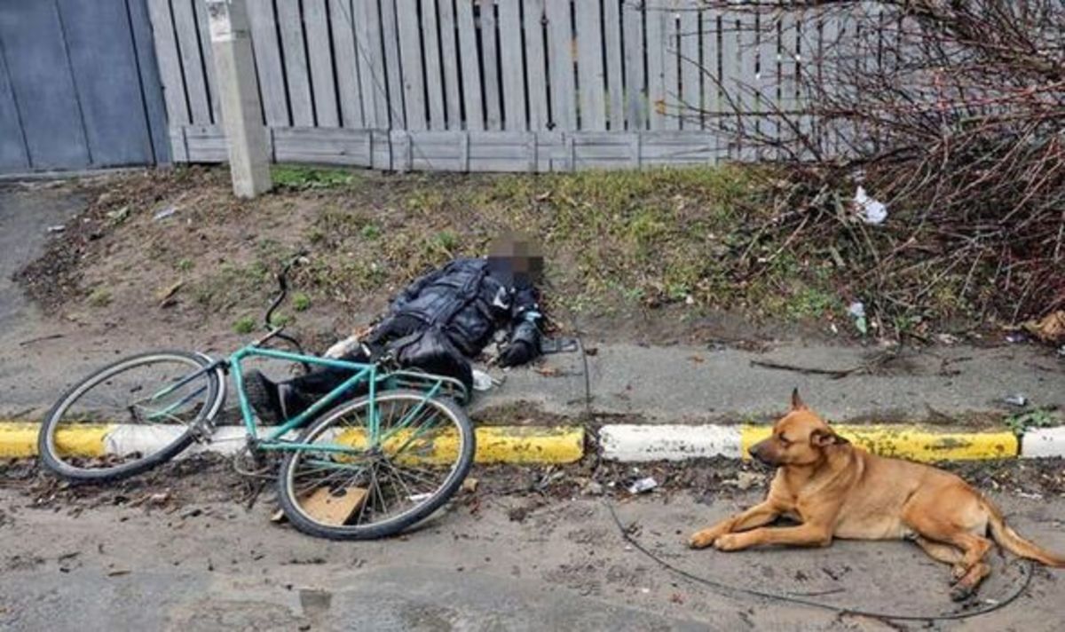 On the streets of Kyiv, a dog sits by its dead owner