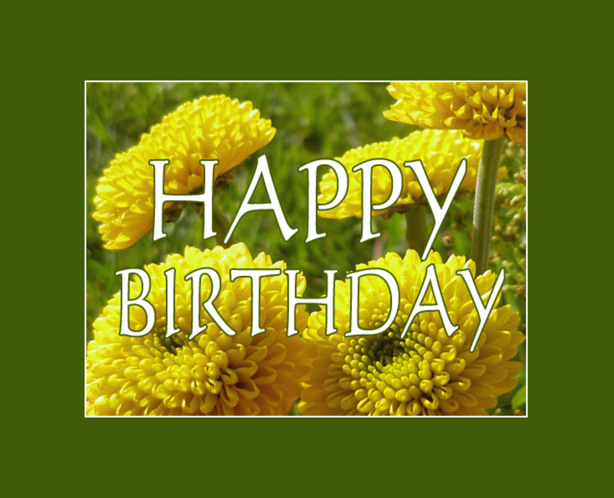 Happy Birthday Yellow Button Chrysanthemums