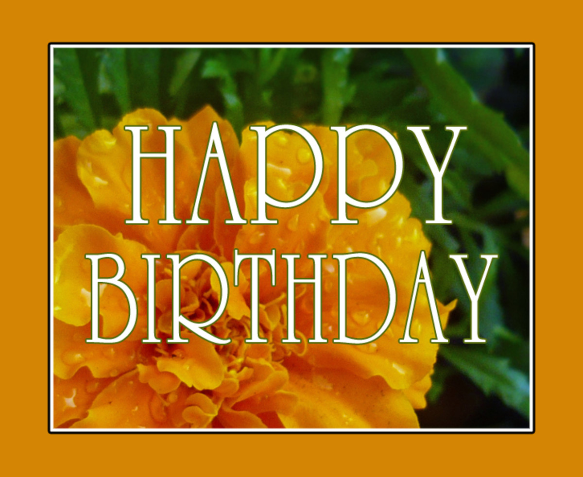 Happy Birthday Marigold
